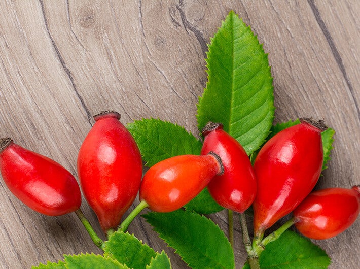 Carotenoids - Rose hip fruit.