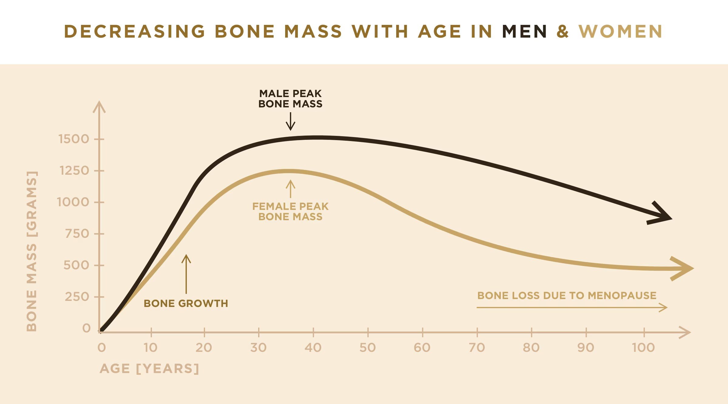 bone-mass-loss