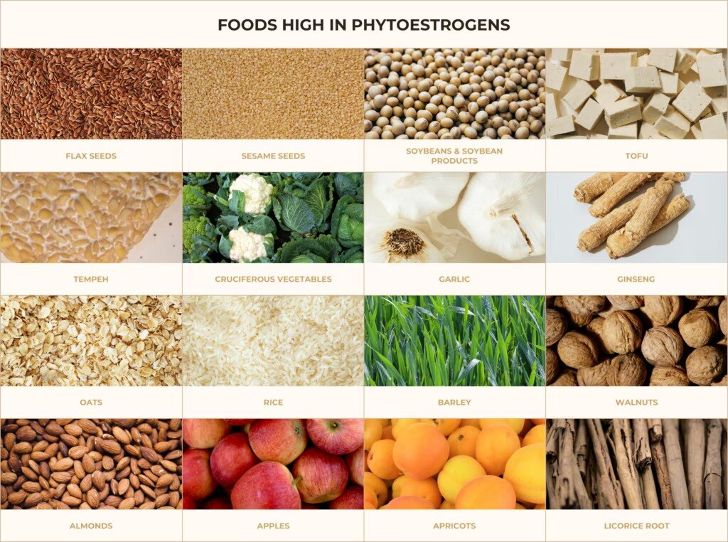 foods-high-phytoestrogens-table-1024x762